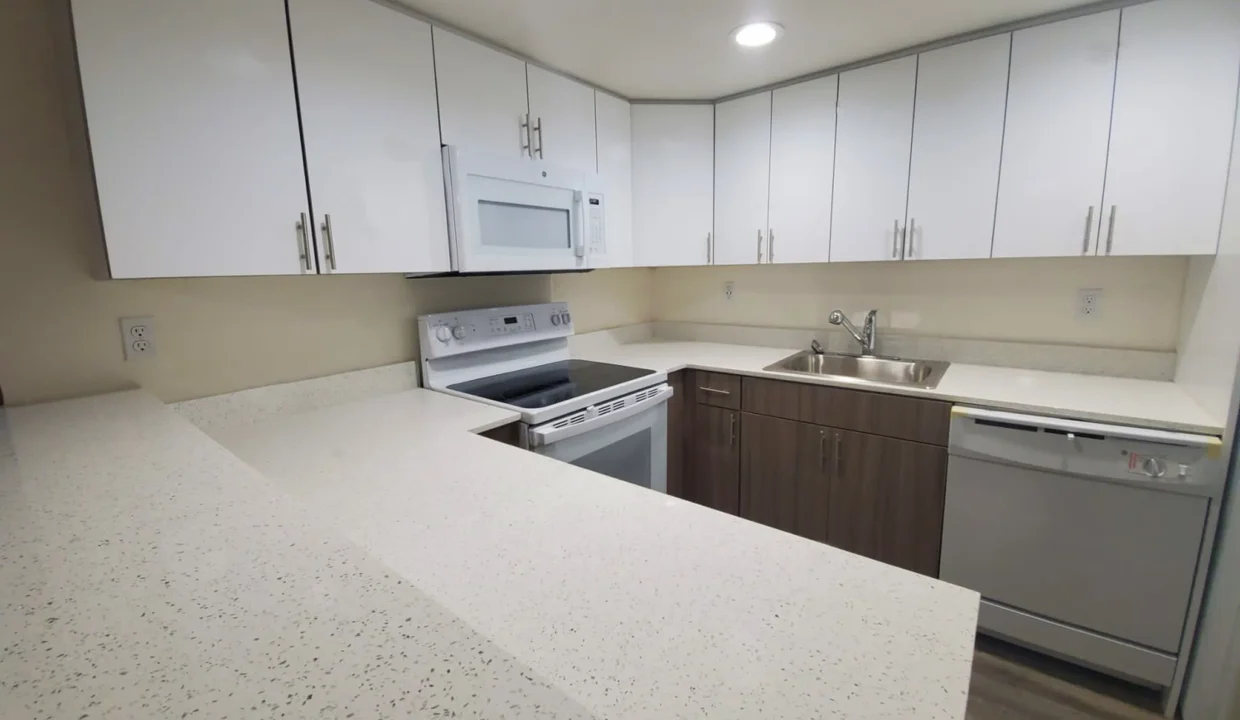 63bc58ec899ea8.50767068706