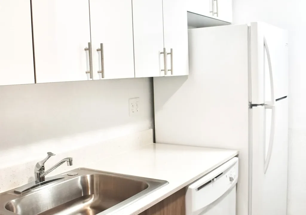 65f88806c46343.46554303391