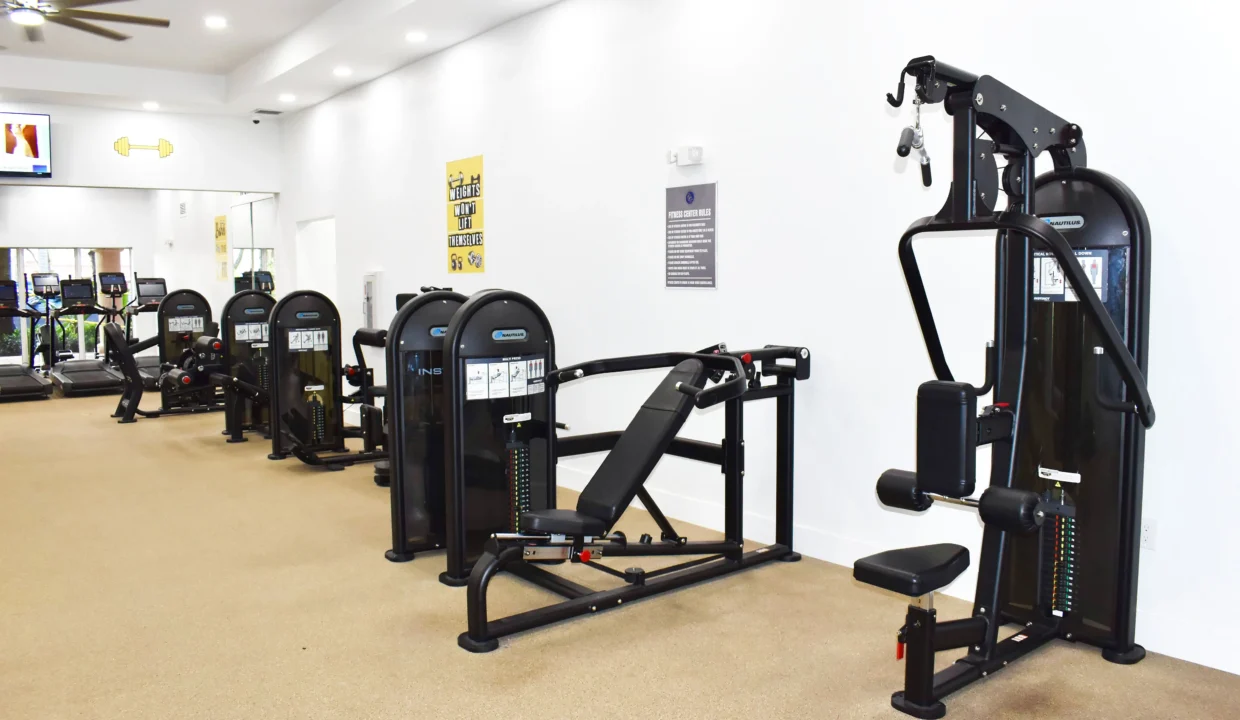 67619811b3ee33.23663896675