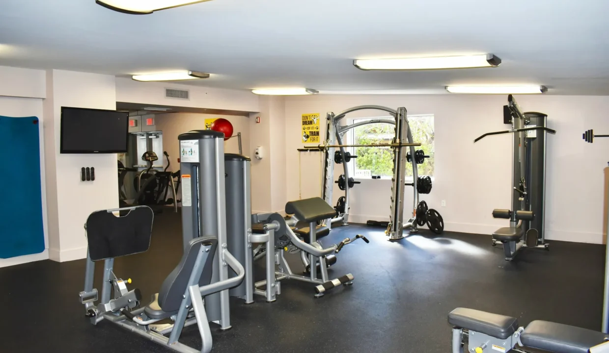 Renta-pequeña havana (10)