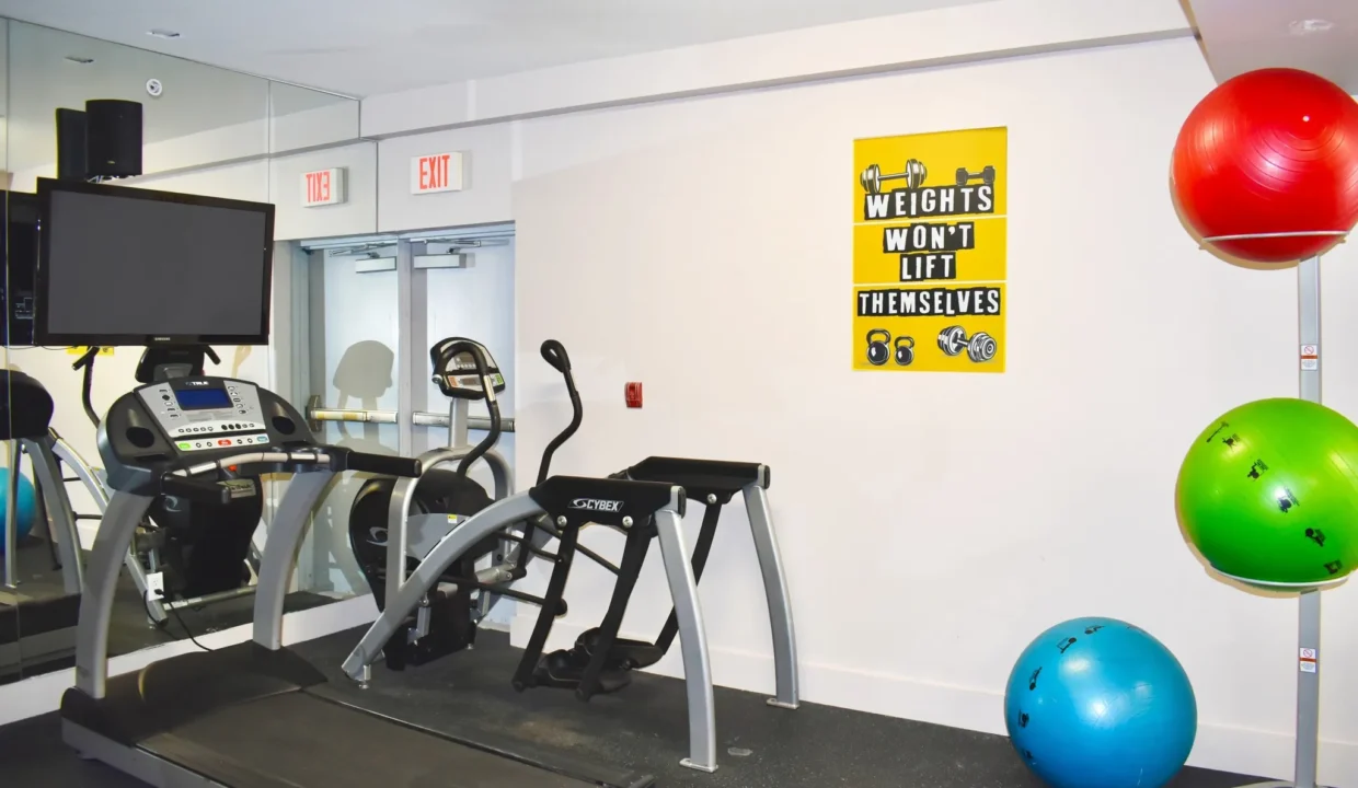 Renta-pequeña havana (11)