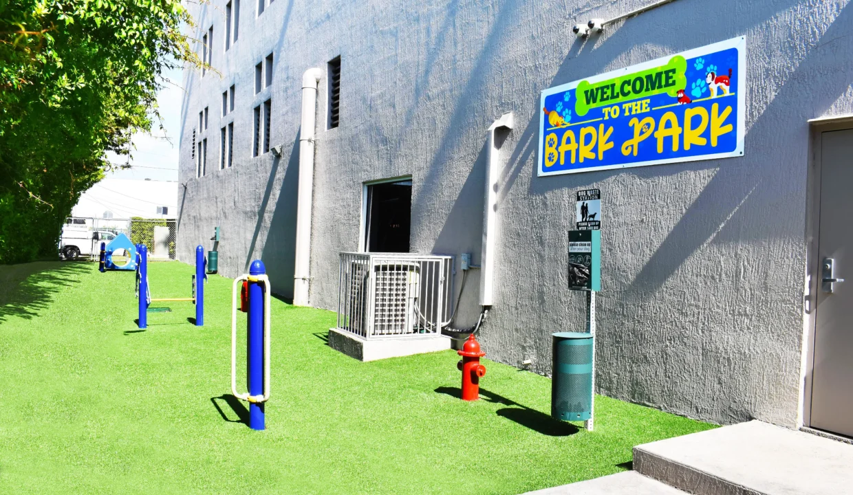 Renta-pequeña havana (12)