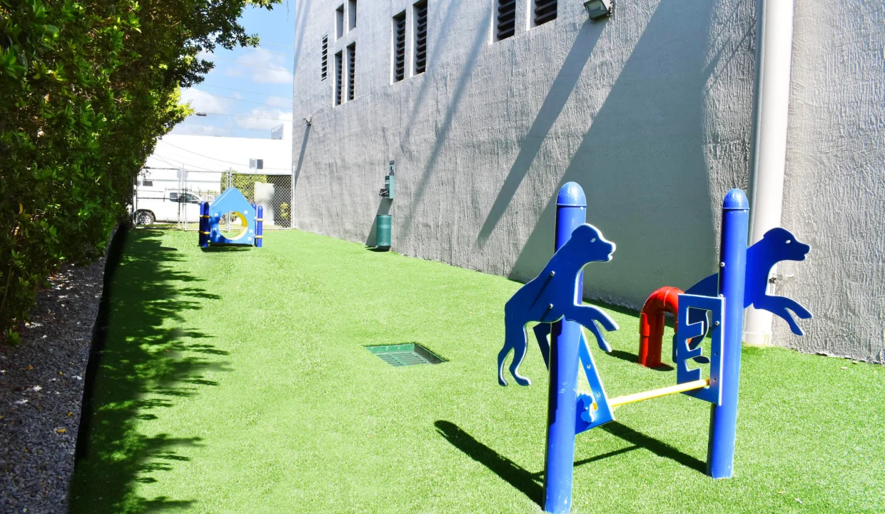 Renta-pequeña havana (13)